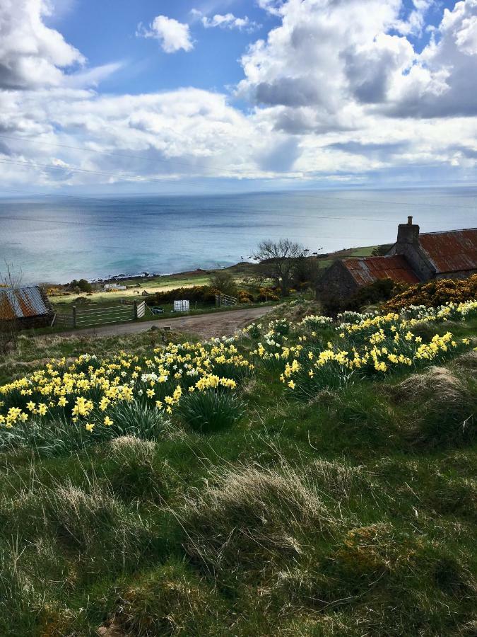 The Stroops Appartement Helmsdale Buitenkant foto